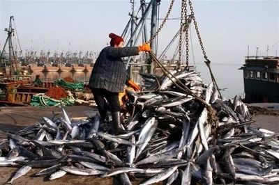 賦能深藍 海洋漁業機械納入農機補貼，助推產業現代化升級